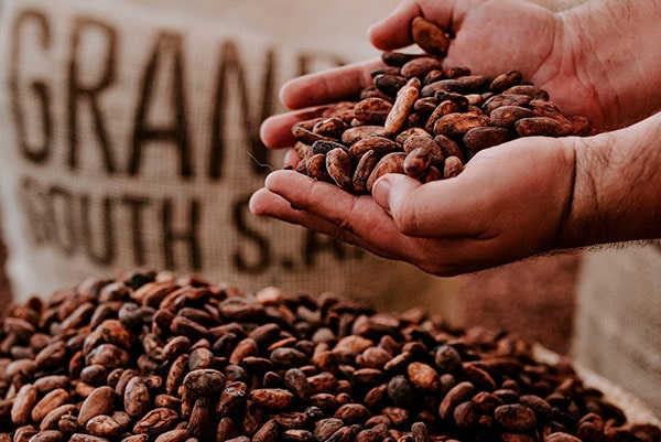 A continent of flavours: Discover Central America’s cocoa beans